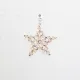 Star - Earrings Ara - 3